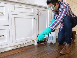 Best Pest Prevention Services  in Speers, PA